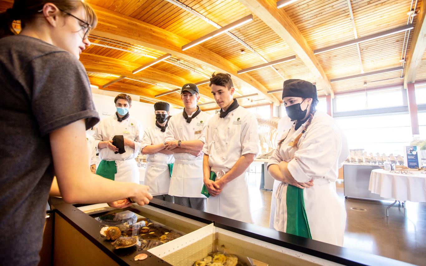 Students looking at oysters in a research lab.